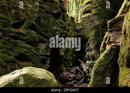 Formation rocheuse et paysage boisé à l'intérieur du Luxembourg à Mullerthal Banque D'Images