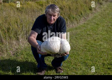 Souffleur géant (Calvatia gigantea) Banque D'Images