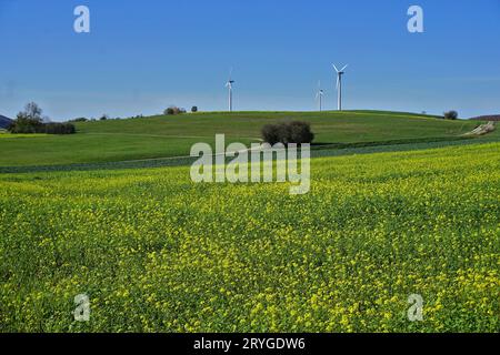 Éoliennes sur le Himmelberg près de Burladingen-Melchingen, Jura souabe ; Allemagne; Banque D'Images