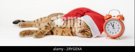 Chat Bengal dans un chapeau de Père Noël rouge dort avec une horloge isolée sur un fond blanc. Banque D'Images