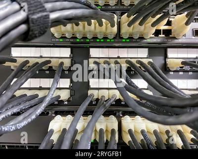 Câbles Ethernet connectés à l'équipement réseau Banque D'Images