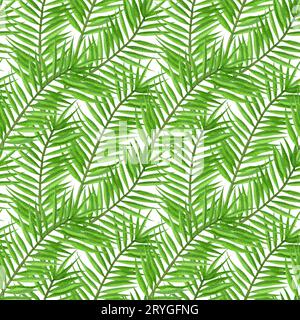 Le palmier tropical aquarelle laisse un motif sans couture. Motif floral tropical sans couture dessiné à la main. Banque D'Images