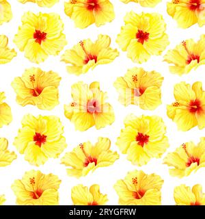 Aquarelle sans couture motif floral tropical. Gros hibiscus jaune sur fond blanc. Motif sans couture aquarelle dessiné à la main avec Banque D'Images