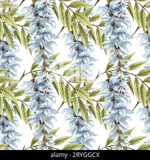 Motif sans couture aquarelle avec des fleurs blanches de Wisteria et des feuilles vertes. Illustration florale dessinée à la main. Banque D'Images