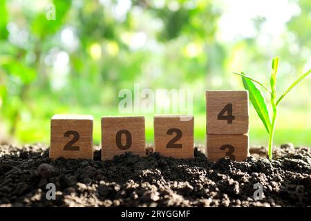 Changement de main humaine année 2023 à 2024 dans des blocs de bois avec plante en croissance au lever du soleil. Bienvenue nouvelle année 2024 et adieu 2023 concept. Banque D'Images