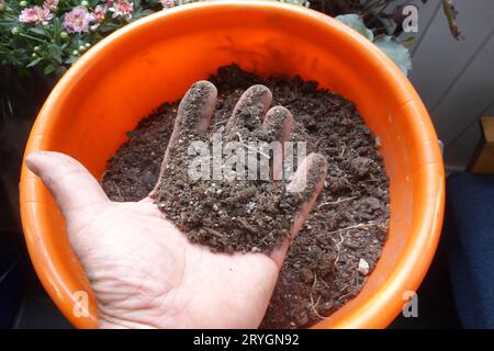 Tenir la terre et l'humus en main Banque D'Images