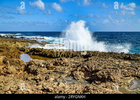 Vue sur la côte rocheuse d'Aruba Banque D'Images