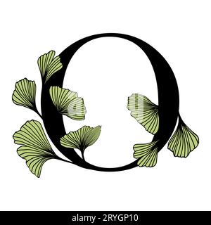 Ginkgo biloba laisse l'alphabet O. badge et icône dans un style linéaire à la main tendance. Vector logo Emblem lettre et branche de ginkgo. Illustration pour cosme Illustration de Vecteur