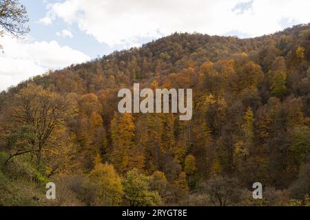 Montagnes arméniennes couvertes d'arbres colorés en automne, contenu de voyage Banque D'Images