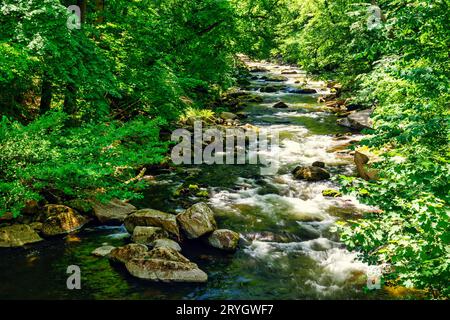 Une vue sur le lit de la rivière Bode dans les montagnes du Harz Banque D'Images