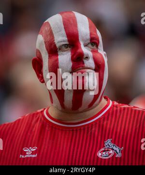 Cologne, Allemagne. 30 septembre 2023. Ventilateur FC 1. FC Köln - VfB Stuttgart 30.09.2023 Copyright (nur für journalistische Zwecke) by : Moritz Müller, Wilh Banque D'Images