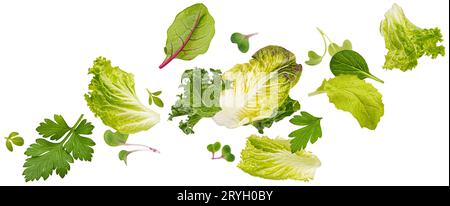 Chute des feuilles de salade isolées sur fond blanc Banque D'Images