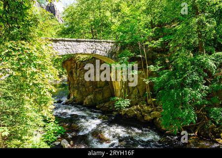 Vue sur le pont de la Jungfern sur la Bode dans les montagnes de Harz Banque D'Images