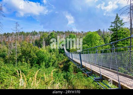 Vue sur le pont suspendu Hohen Schrecke Banque D'Images