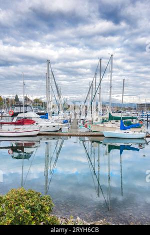 Bateaux à voile yachts au mouillage sur l'océan Pacifique Banque D'Images