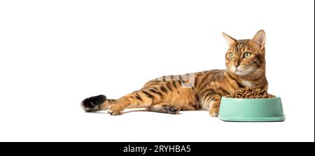 Un chat sur un fond blanc mange de la nourriture dans un bol Banque D'Images