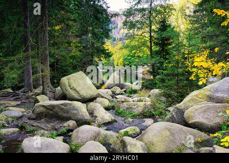Paysage d'automne avec la rivière Oker et l'île engagement dans les montagnes Harz, Allemagne Banque D'Images