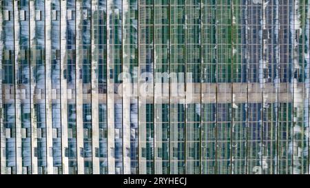 Une vue aérienne montre des serres pour cultiver des fraises par le haut. Country Farming.Aerial abstract tourné par un drone Banque D'Images