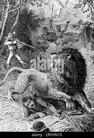 David Livingstone et le lion, 1844. Le 16 février 1844, Mebalwe et le missionnaire David Livingstone (1813-1873) se sont joints aux villageois de Mabotsa pour défendre leurs moutons contre les lions. Livingstone a eu un coup de feu clair sur un gros lion, mais pendant qu'il le rechargeait, il l'a attaqué, écrasant son bras gauche, et l'a forcé au sol. Sa vie a été sauvée par Mebalwe détournant son attention en essayant de tirer sur le lion. Lui aussi s'est fait mordre. Un homme qui a essayé de le faire sauter a été attaqué juste avant qu'il ne tombe mort. Banque D'Images