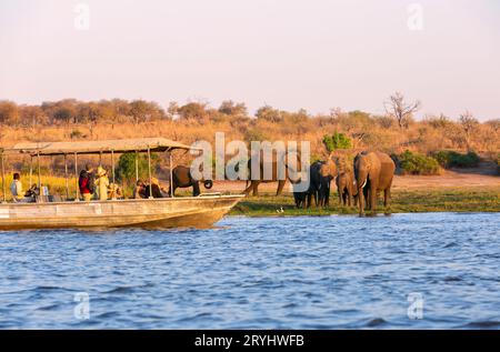 Les touristes observent les éléphants au bord du parc national de Chobe, Botswana, Afrique Banque D'Images