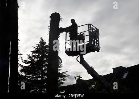 Abatteuses d'arbres sur une plate-forme de travail au travail contre la lumière, Witten, Rhénanie du Nord-Westphalie, Allemagne Banque D'Images