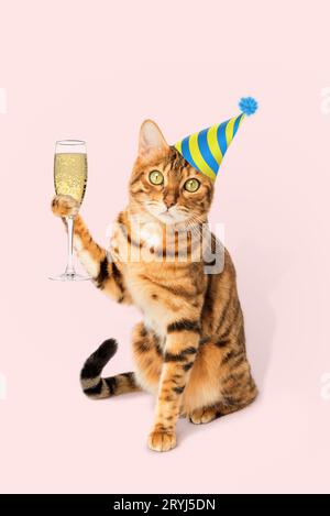 Chat gingembre avec une coupe de champagne sur un fond coloré. Banque D'Images