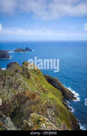 Falaises de Cape Ortegal et océan atlantique, Galice, Espagne Banque D'Images