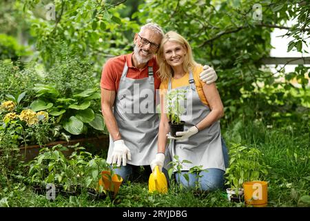 Heureux couple de jardiniers seniors dans des tabliers replantant des verts en pot dans l'arrière-cour Banque D'Images