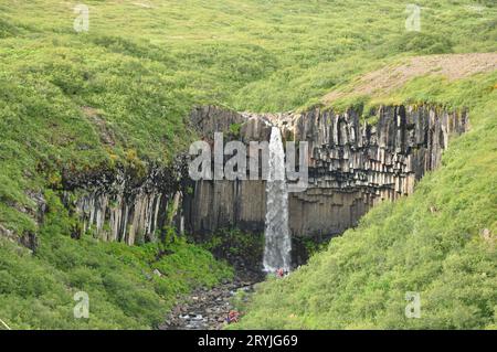 Vue panoramique sur la cascade de Svartifoss qui coule entre les falaises verdoyantes en Islande Banque D'Images