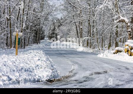 Arbres bordant la route dans la forêt couverte de neige Banque D'Images