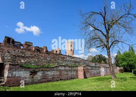 Parc Chindia (Parcul Chindia) près des anciens bâtiments en pierre et des ruines de la Cour royale de Targoviste (Curtea Domneasca) dans la partie historique de Banque D'Images