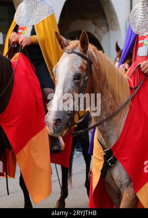 cheval avec un chevalier avec des vêtements médiévaux lors de la reconstitution historique du village Banque D'Images