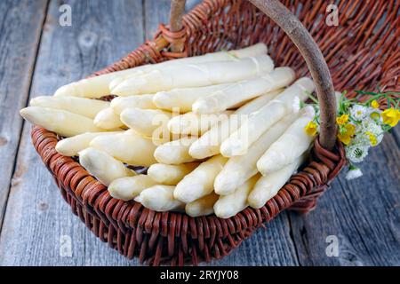 Asperges blanches crues fraîches avec des herbes et des fleurs offertes en gros plan dans un panier sur une planche de bois rustique patiné Banque D'Images