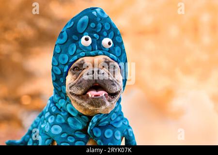 Portrait de chien Bulldog français portant drôle de costume d'Halloween de poulpe Banque D'Images