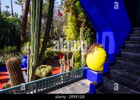 Vue imprenable sur un morceau de bâtiment bleu et différents types de cactus dans le jardin Majorelle - point de repère local à Marrakech Banque D'Images