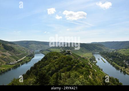 Vue plongeante sur la boucle de la Moselle entourée de verdure et de vignes en Allemagne Banque D'Images