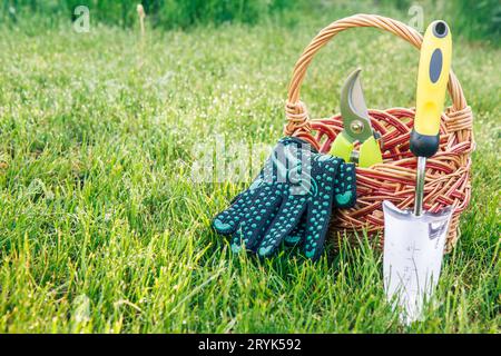 Petite truelle de jardin à main, un sécateur et des gants avec un panier en osier dans l'herbe verte. Banque D'Images