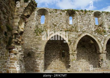 Ruine de l'abbaye de Jerpoint, un monastère médiéval près de Thomastown, Irlande Banque D'Images