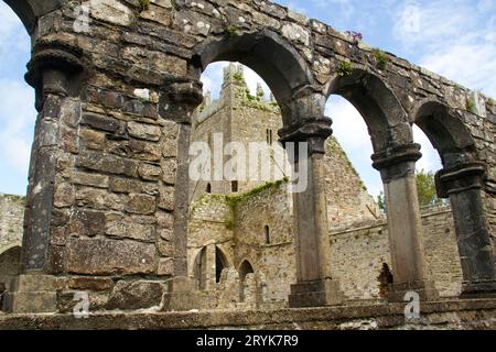 Ruine de l'abbaye de Jerpoint, un monastère médiéval près de Thomastown, Irlande Banque D'Images