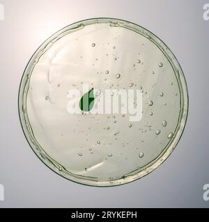 Texture de gel vert d'un produit de soin cosmétique. Banque D'Images