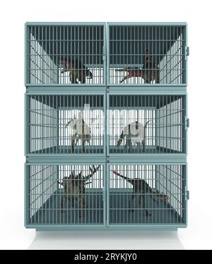 Cages pour animaux avec dinosaures Banque D'Images