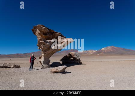 Arbre de pierre dans l'altiplano bolivien Banque D'Images