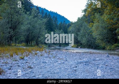 Belle rivière BELCA, petit ruisseau d'eau propre dans l'étroite vallée de la rivière belca, Slovénie. Herbe sur la rive, rivière sinueuse lente et blanche Banque D'Images