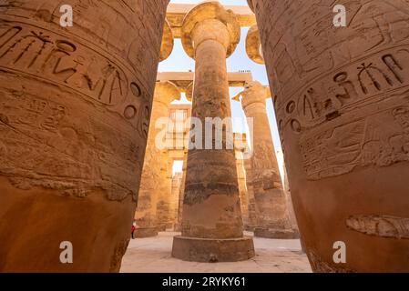 Colonnes couvertes de hiéroglyphes au temple de Karnak, en Égypte Banque D'Images