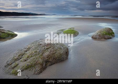 Tôt le matin sur la plage de l'Oregon. Banque D'Images