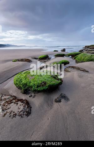 Matin à la plage. Banque D'Images