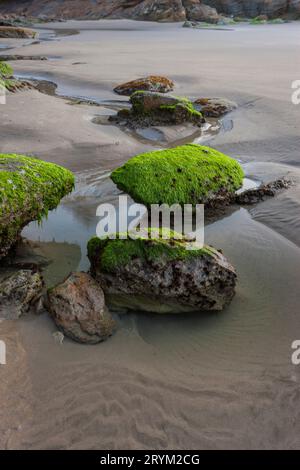 Rochers et petit bassin d'eau. Banque D'Images