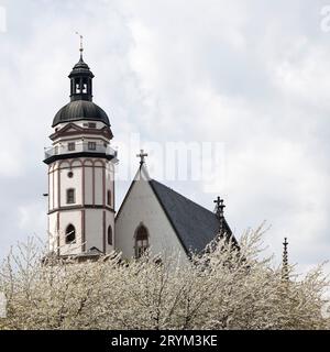 Église Thomas avec des arbres fruitiers en fleurs au printemps, Leipzig, Saxe, Allemagne, Europe Banque D'Images