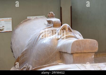 Chef de la statue colossale du pharaon Ramsès II au Musée de Memphis, près du Caire, Egypte Banque D'Images