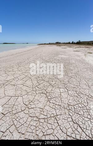 Lac Tsimanampetsotsa avec plage sèche et fissurée. Madagascar paysage sauvage. Banque D'Images